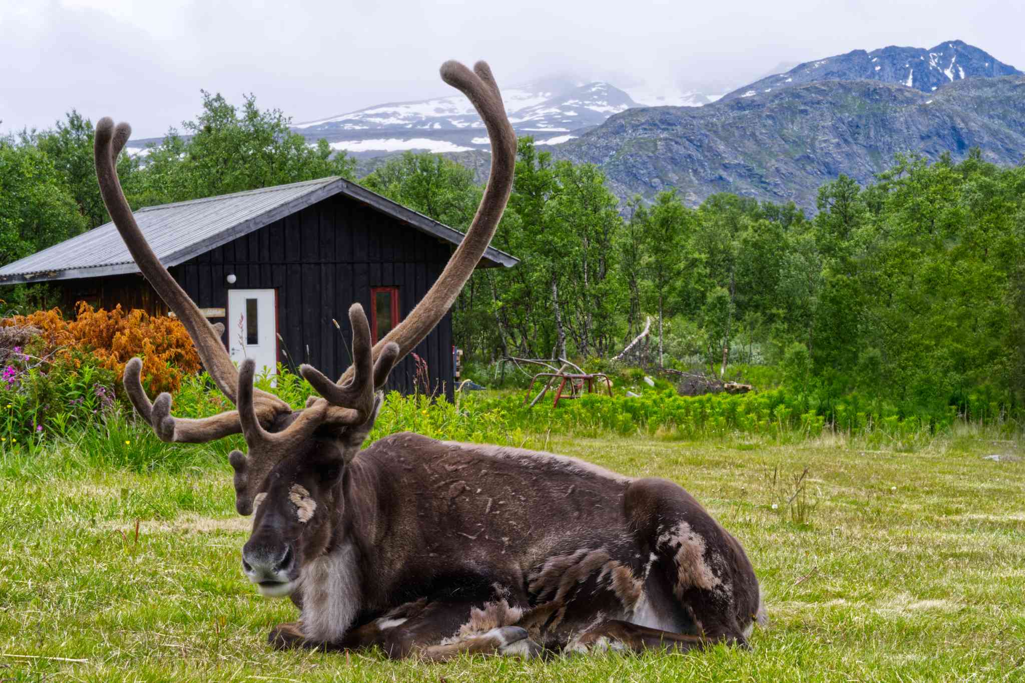 Blick auf die Landschaft von Oslo - private Tagesreise von Jotunheimen National Park - Foto 7